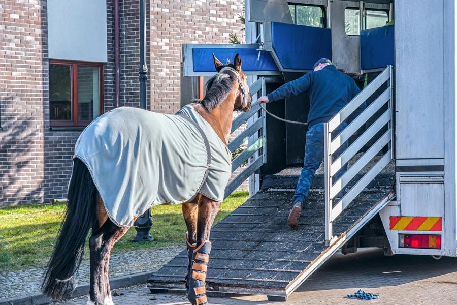 Overcoming Loading Issues with Your Horse