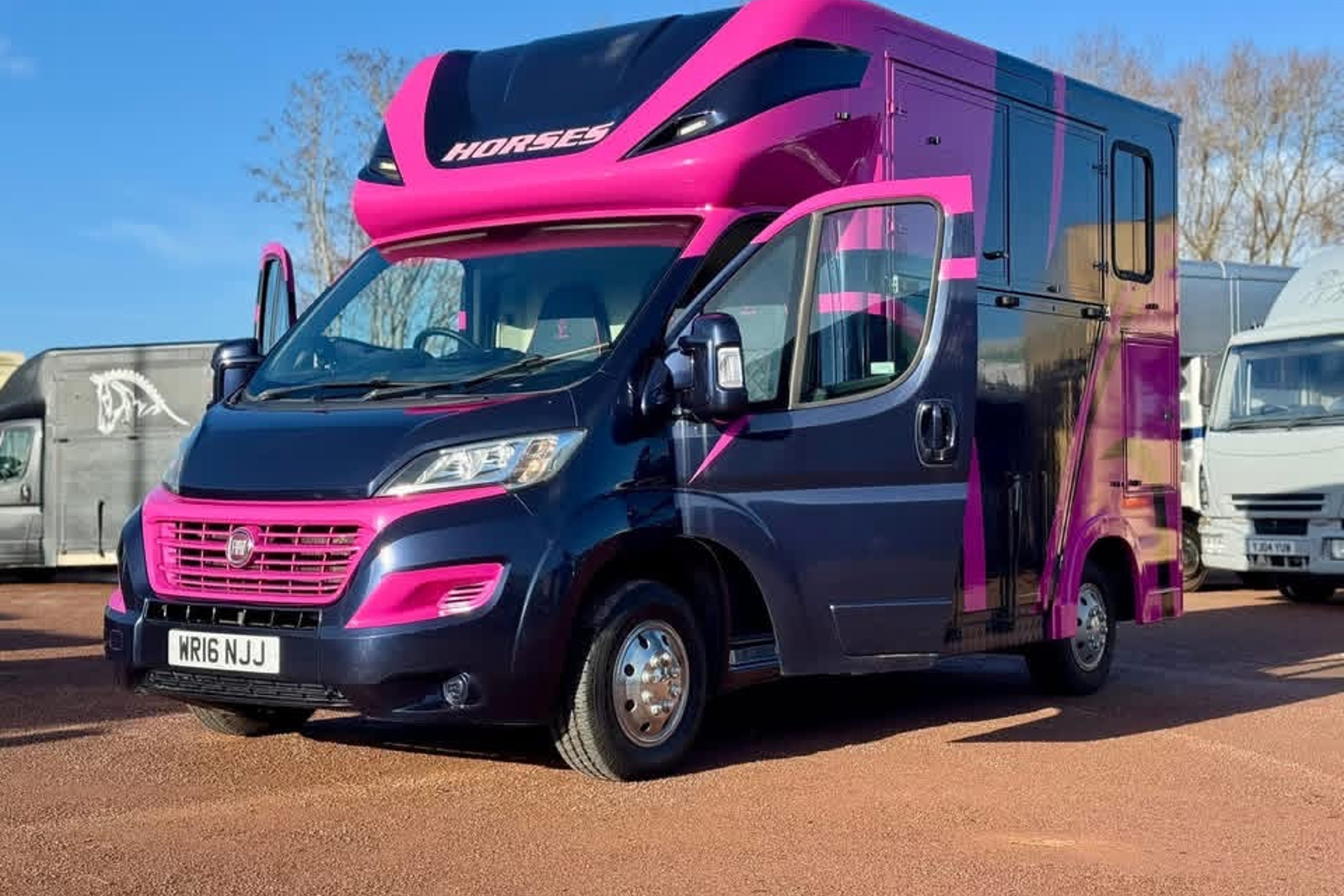 Gorgeous 3.5t Regent Horsebox 