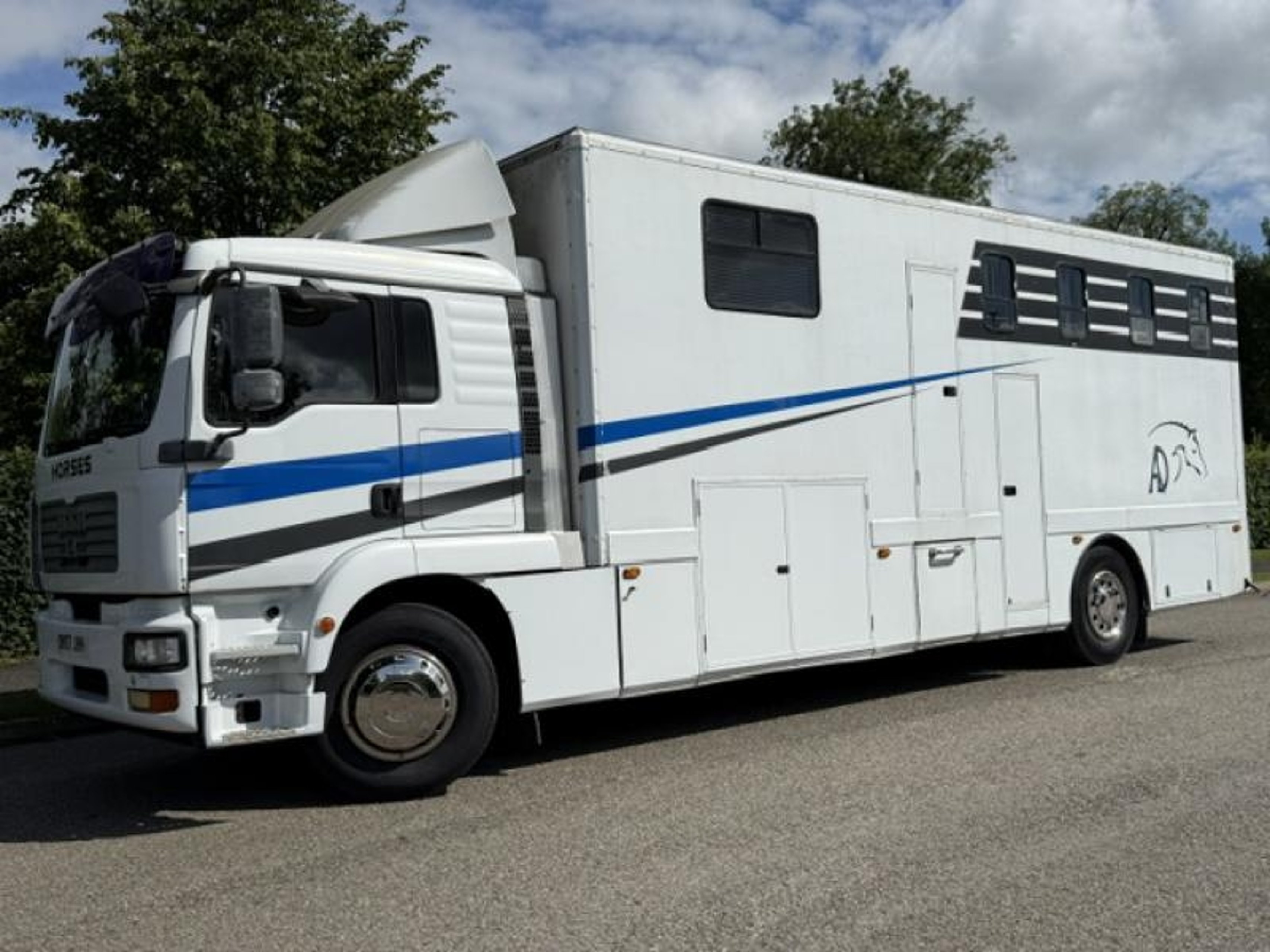 18t MAN TGM Horse Lorry - image 18 of 18